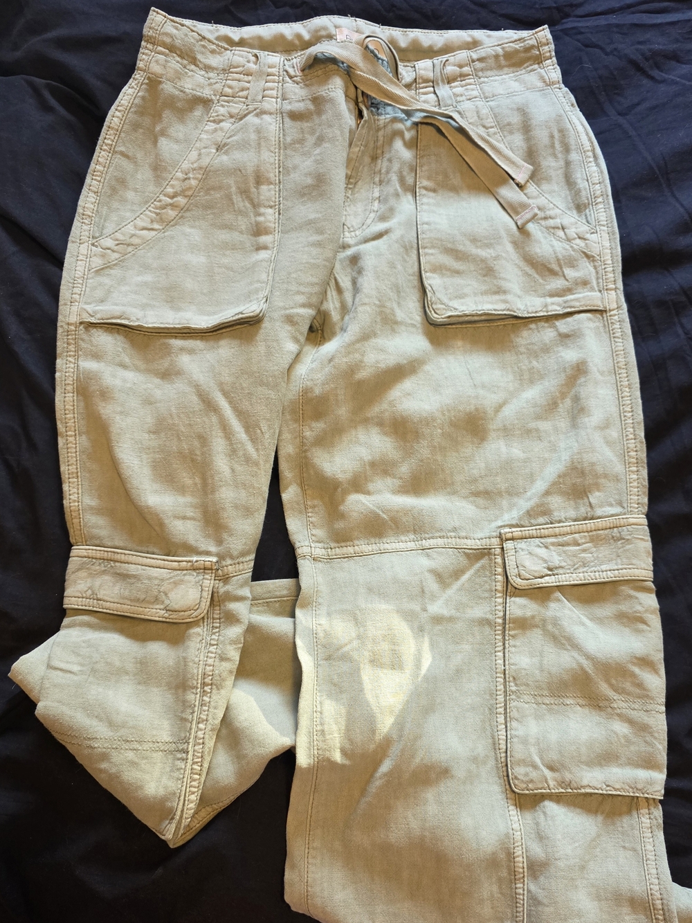 Pilcro Cargo Pants in Light Sage